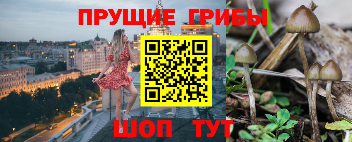 Советск  Псилоцибиновые грибы ЛСД  Вход с VPN  Галлюциногенные грибы прущие грибы 