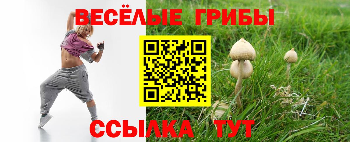 Псилоцибиновые грибы мухоморы Советск